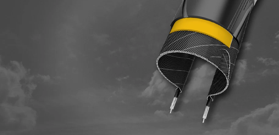 Schwalbe Road Cruiser - Image 2