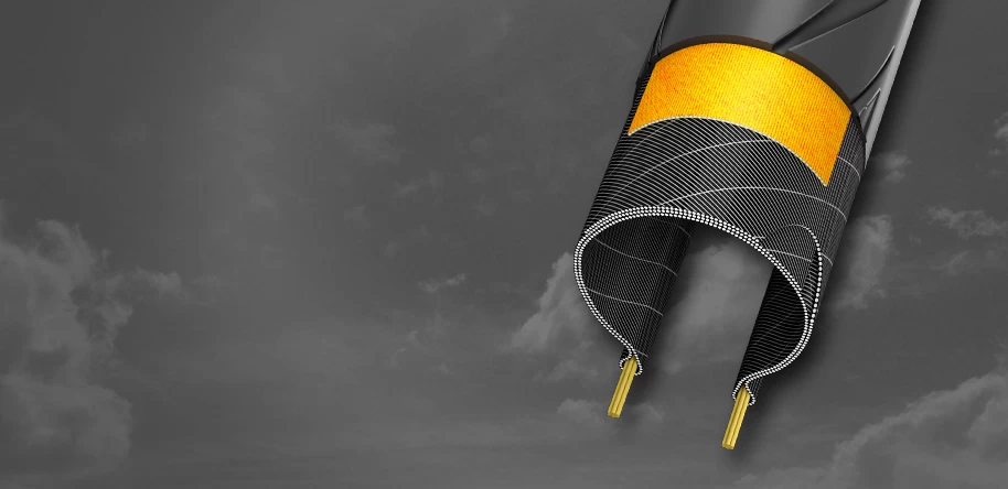 Schwalbe Pro One Evolution Tube - Image 2