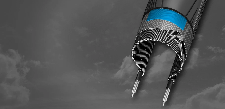 Schwalbe One Performance Tube - Image 2