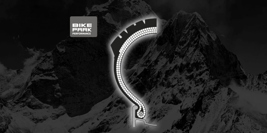 Schwalbe Big Betty Performance Bikepark - Image 2