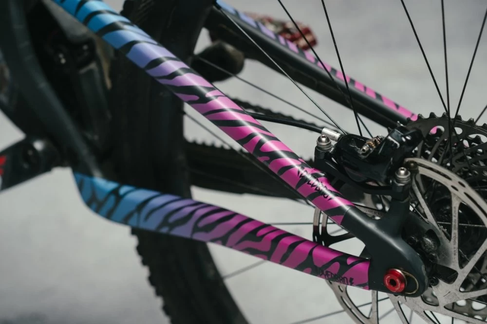 Dyedbro Zebra Retro - Image 2