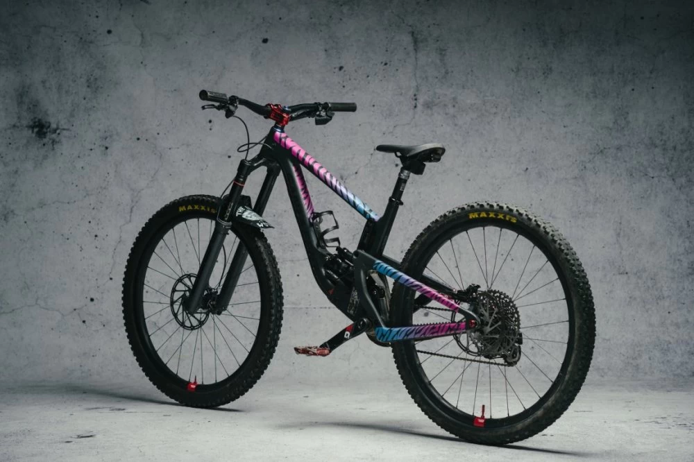 Dyedbro Zebra Retro - Image 3