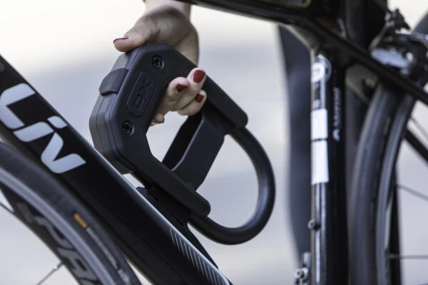 Hiplok DX With Frame Clip - Image 2